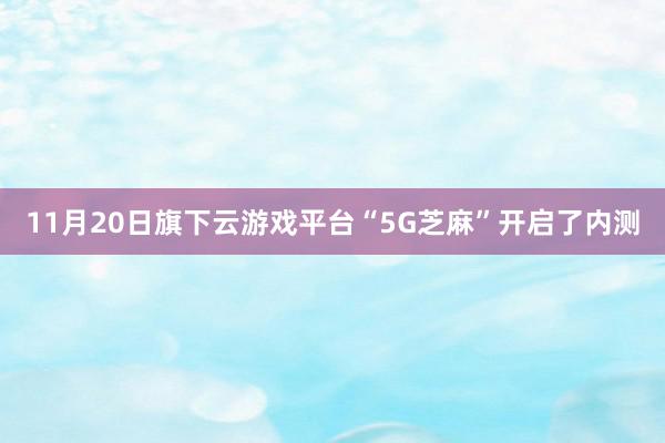 11月20日旗下云游戏平台“5G芝麻”开启了内测